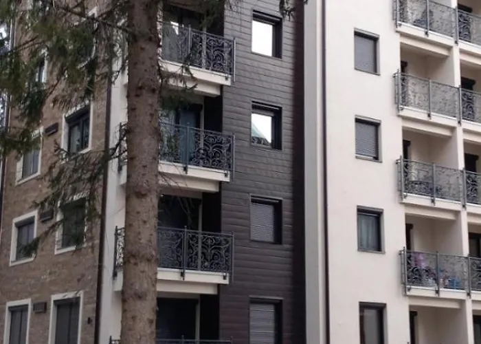 Velickovic 즐라티보