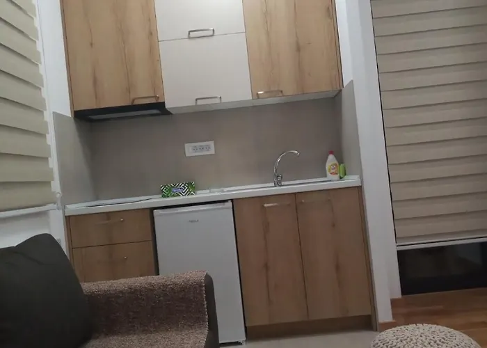 Velickovic 아파트