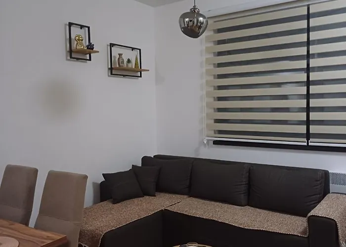 Velickovic * 즐라티보